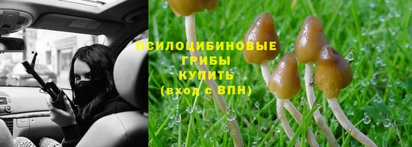первитин Балахна