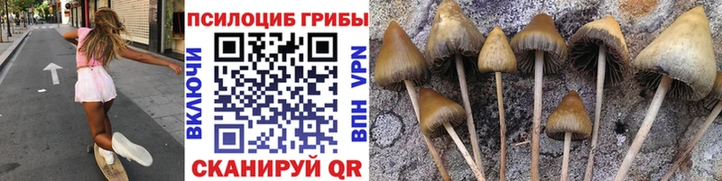 как найти   Мариинский Посад  Псилоцибиновые грибы мухоморы 
