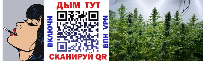 кракен сайт  Мариинский Посад  Шишки марихуана Amnesia 